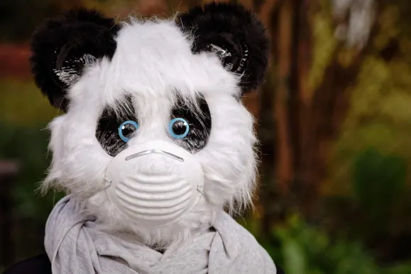 Μπιτκοζα Καζίνο Υποστηριξη